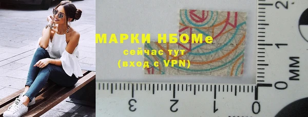 хмурый Арсеньев