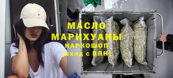 хмурый Арсеньев