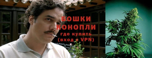 хмурый Арсеньев
