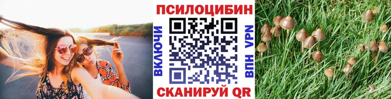 Галлюциногенные грибы прущие грибы  Олонец 